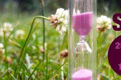 sds-2021-06-25-flyer-kl-1-1536x562