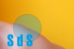 sds-flyer