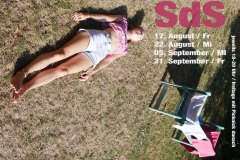 sds-ii-2018_flyer_ohne-kl